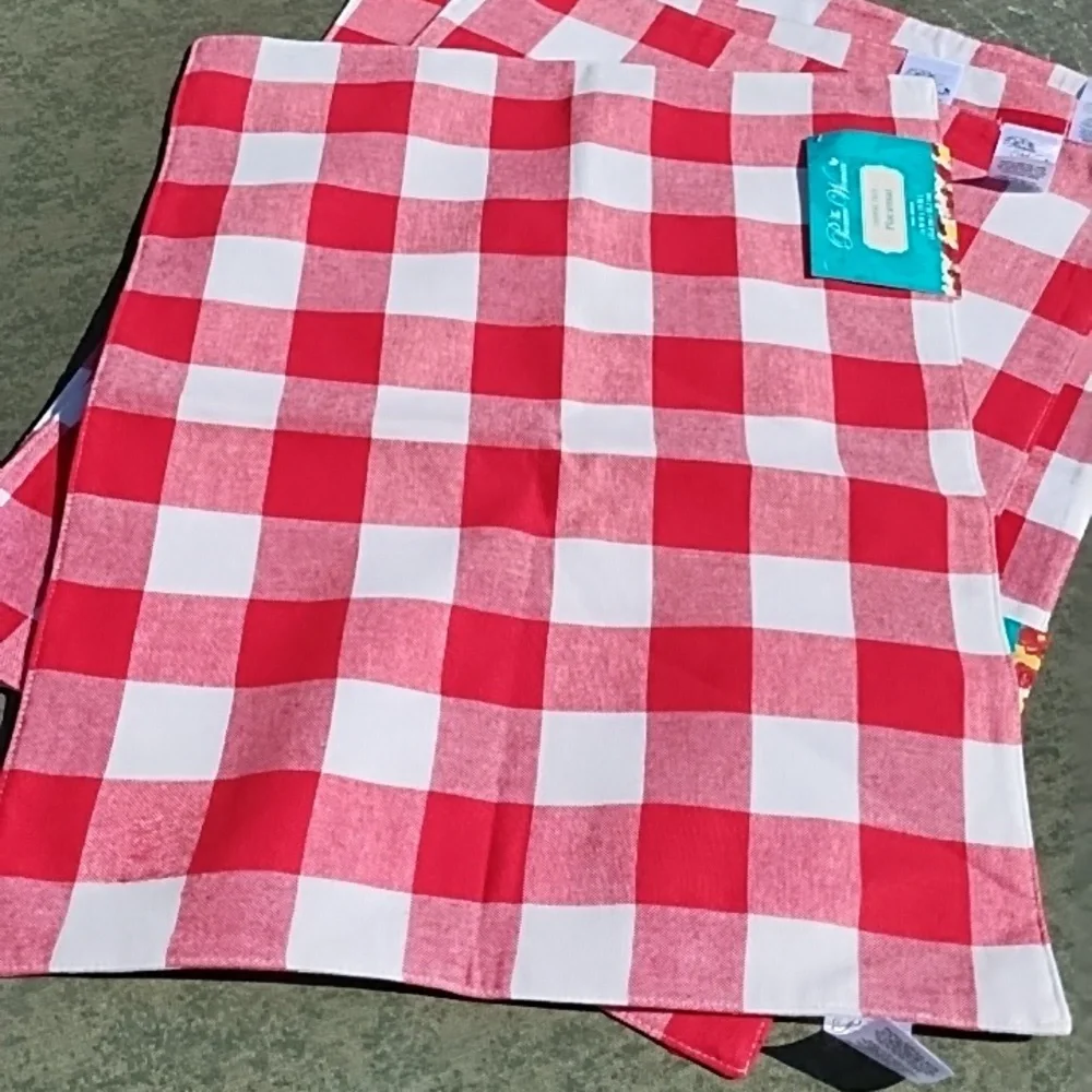 COPY - The Pioneer Woman Red and White Checkered Placemats(Set of 4)